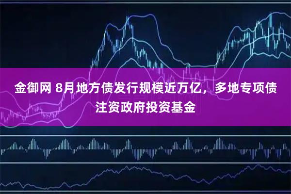金御网 8月地方债发行规模近万亿，多地专项债注资政府投资基金