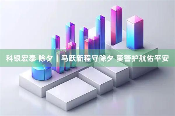 科银宏泰 除夕｜马跃新程守除夕 葵警护航佑平安