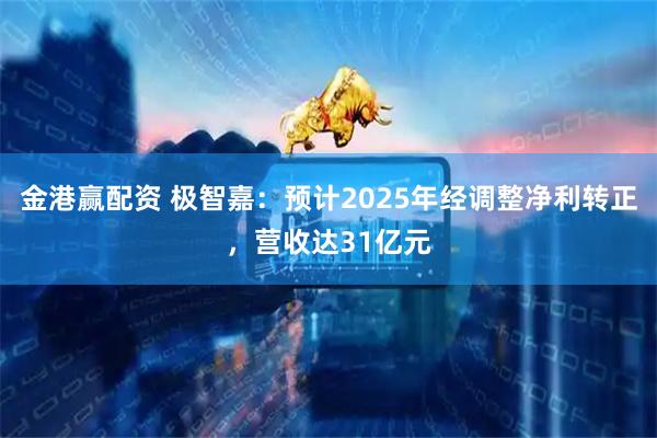 金港赢配资 极智嘉：预计2025年经调整净利转正，营收达31亿元