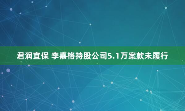 君润宜保 李嘉格持股公司5.1万案款未履行